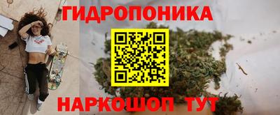 бошки Сланцы
