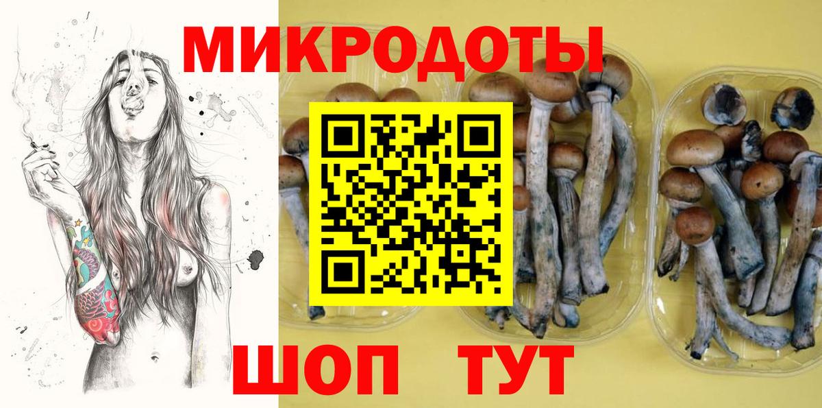 Псилоцибиновые грибы ЛСД  Вход с VPN  Кудрово  Галлюциногенные грибы GOLDEN TEACHER 