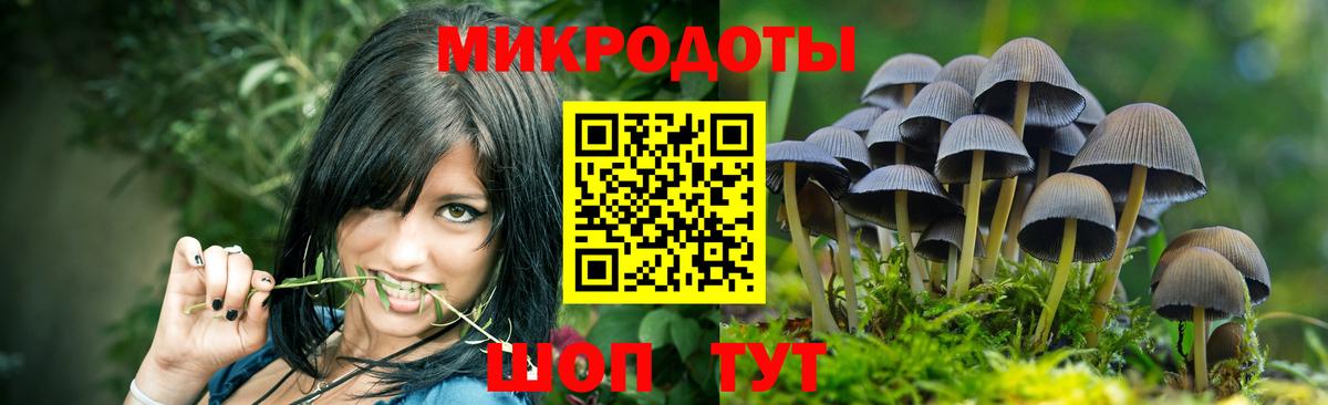 Псилоцибиновые грибы Psilocybine cubensis Кудрово