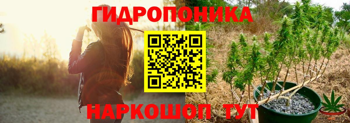 Кудрово  Марихуана Amnesia  Вход с VPN  Канабис план  Шишки марихуана марихуана 
